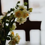 Вилла Koutsini *