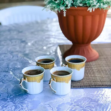 Koutsini Vilă *