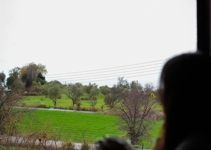 Koutsini Pano Akourdalia