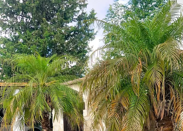 Koutsini * Pano Akourdalia